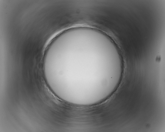 X0000116011216200911191230