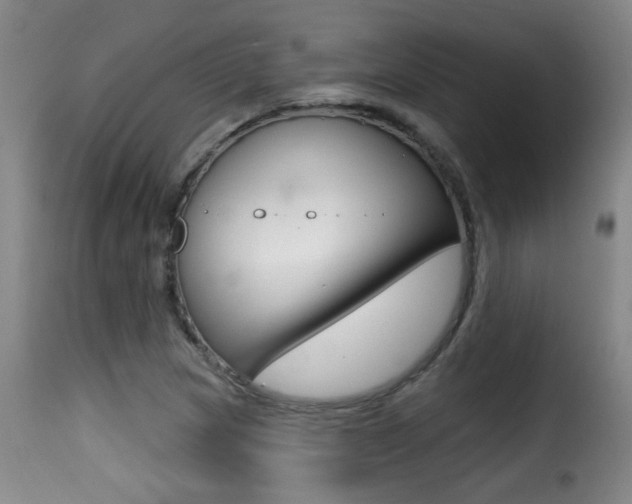 X0000116011217200911191230