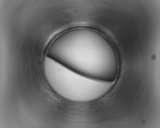 X0000116011218200911191230