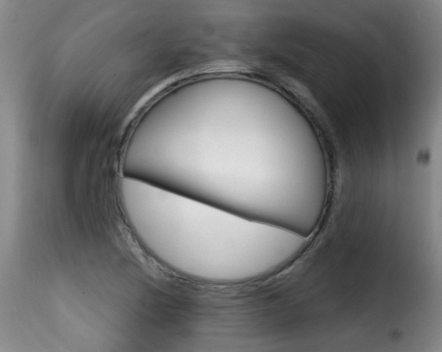 X0000116011220200911191230