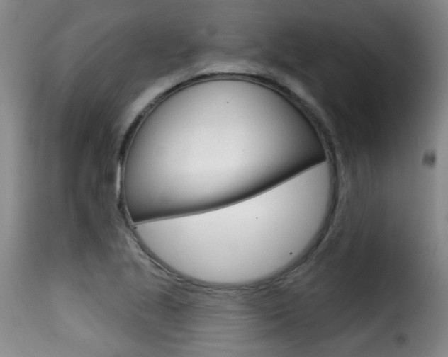X0000116011221200911191230