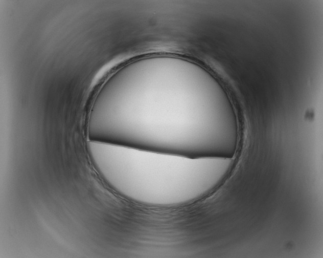X0000116011222200911191230