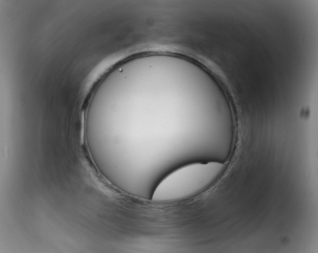 X0000116011223200911191230