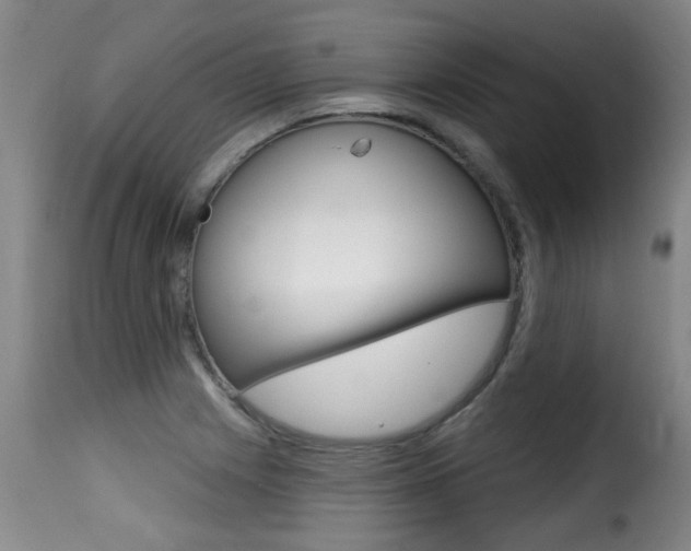 X0000116011225200911191230