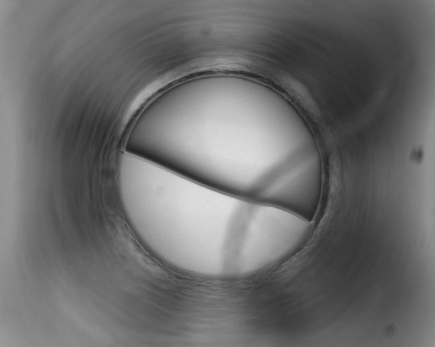 X0000116011226200911191230