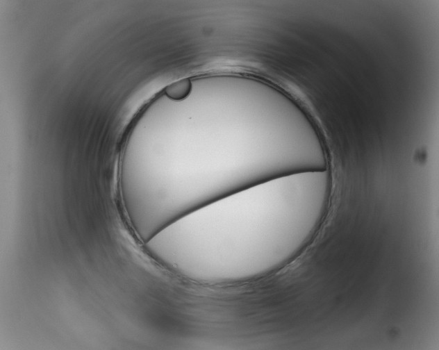 X0000116011227200911191230