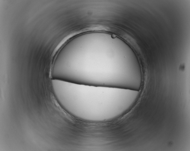 X0000116011228200911191230