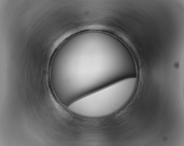 X0000116011229200911191230