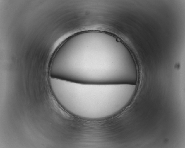 X0000116011230200911191230