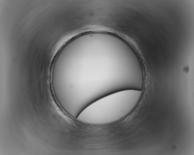 X0000116011231200911191230