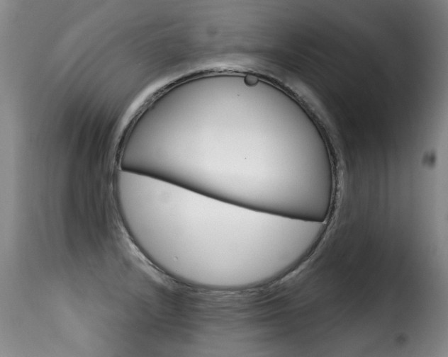 X0000116011232200911191230