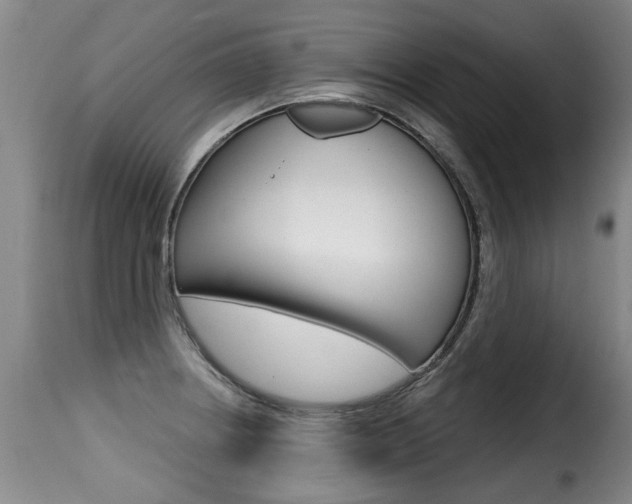 X0000116011234200911191230