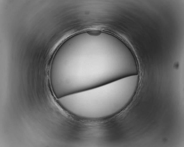 X0000116011235200911191230