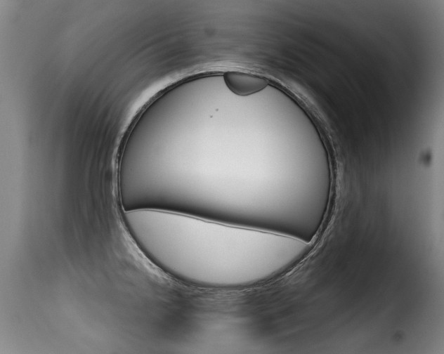 X0000116011238200911191230