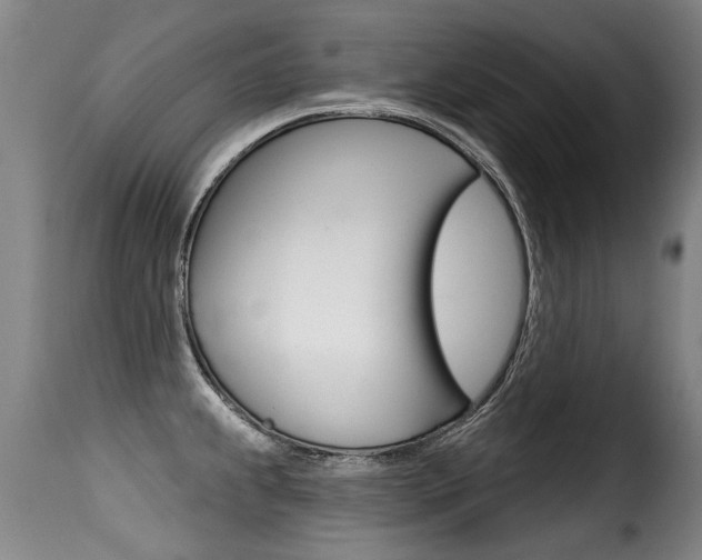X0000116011239200911191230