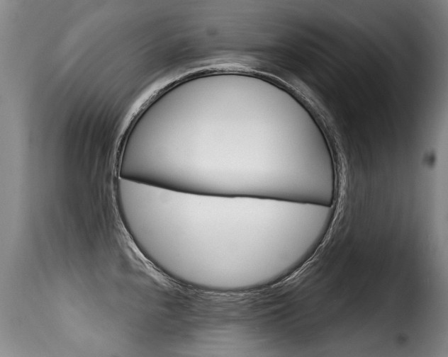 X0000116011240200911191230