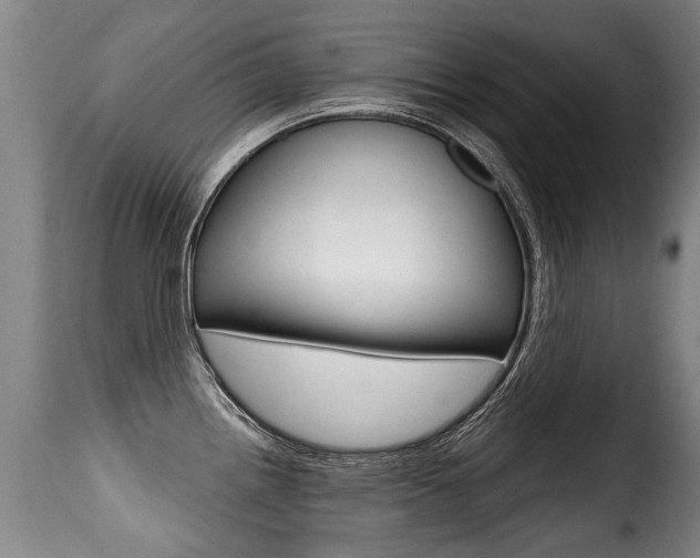 X0000116011242200911191230