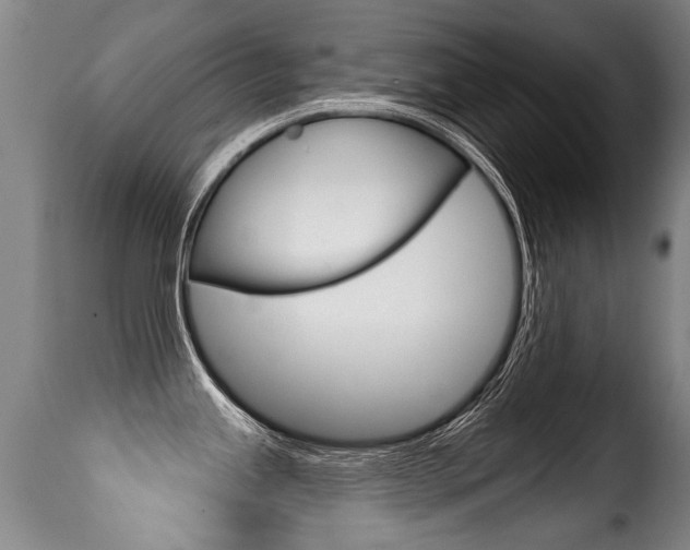X0000116011245200911191230
