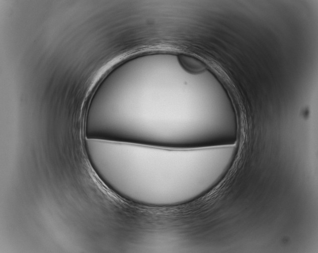 X0000116011246200911191230