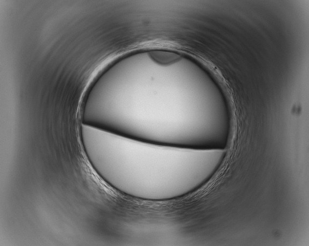 X0000116011248200911191230