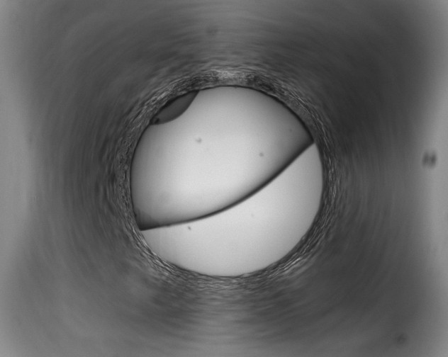 X0000116011249200911191229