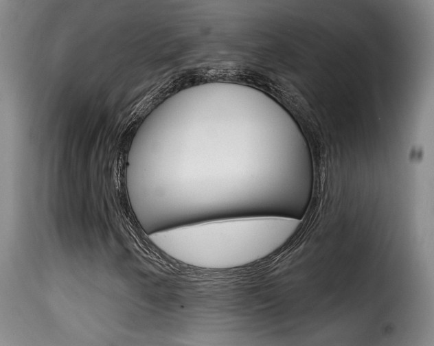 X0000116011250200911191229
