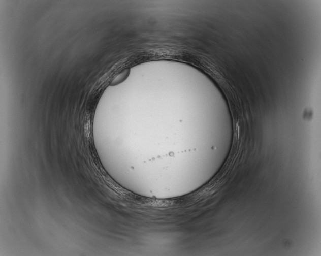 X0000116011251200911191229