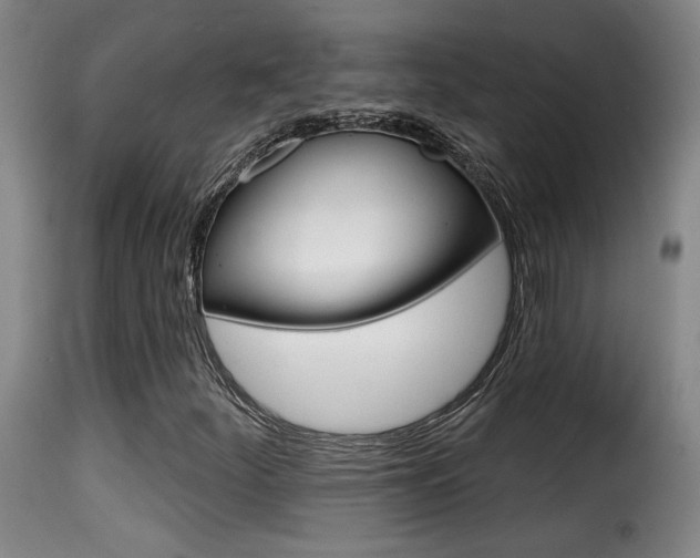 X0000116011252200911191229