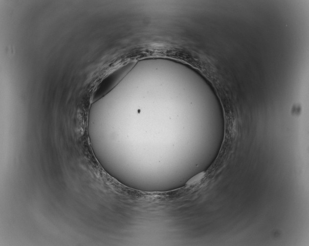 X0000116011253200911191229