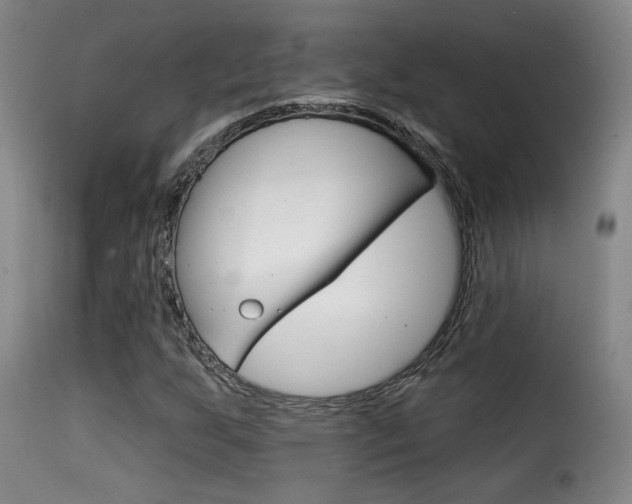 X0000116011255200911191229