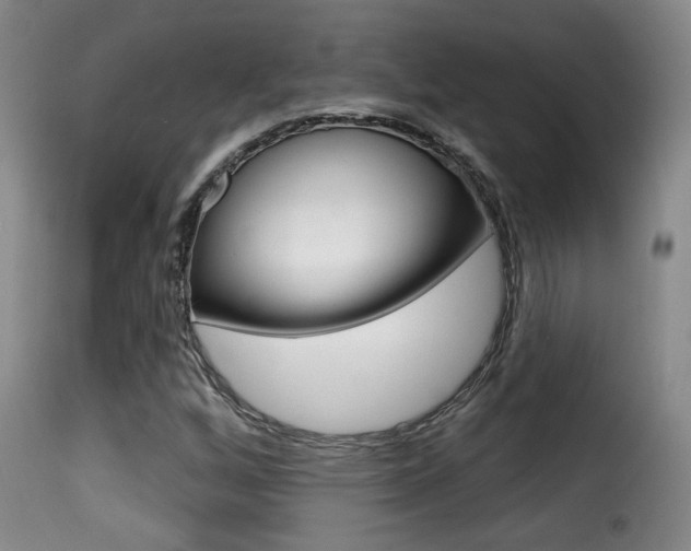 X0000116011256200911191229