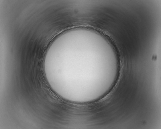 X0000116011257200911191229