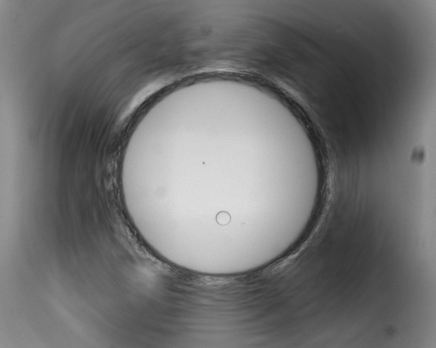 X0000116011258200911191229