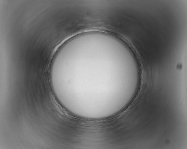 X0000116011260200911191229