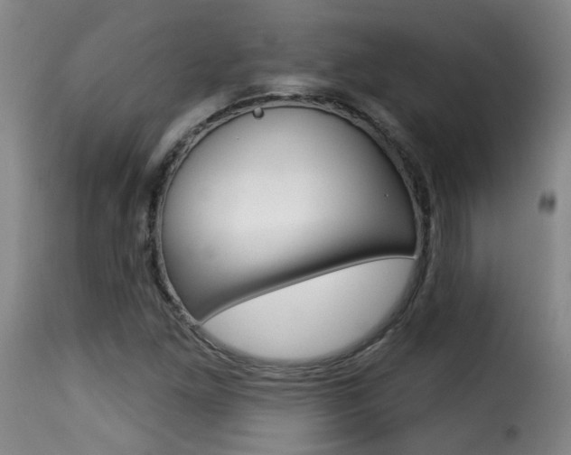 X0000116011261200911191229
