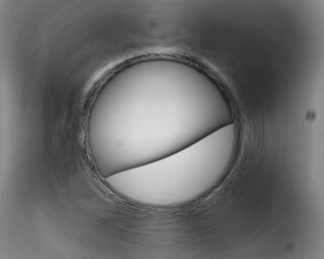 X0000116011262200911191229