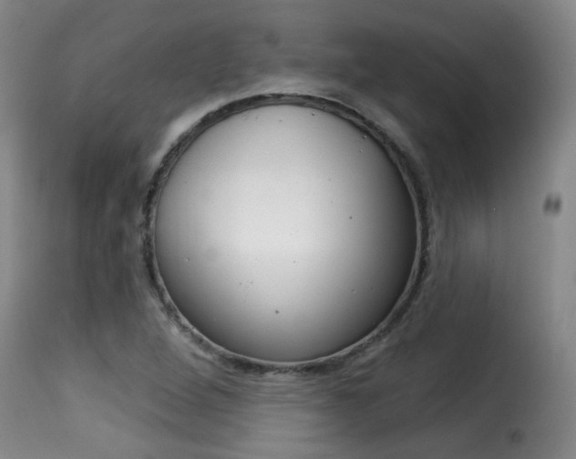 X0000116011264200911191229