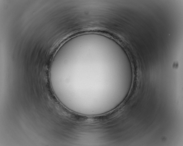 X0000116011265200911191229