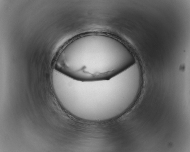 X0000116011267200911191229
