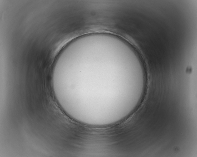 X0000116011269200911191229
