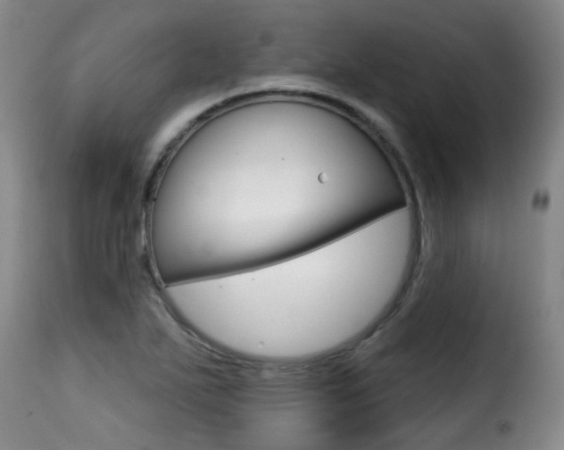 X0000116011271200911191229