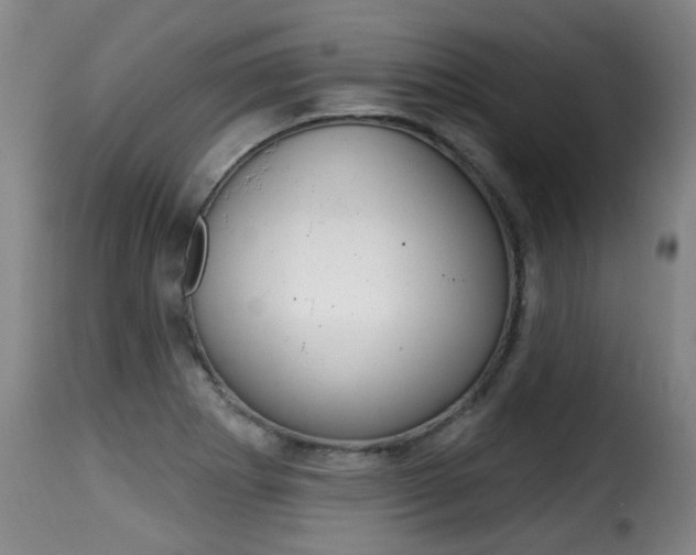 X0000116011273200911191229