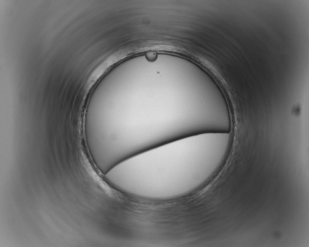 X0000116011282200911191229