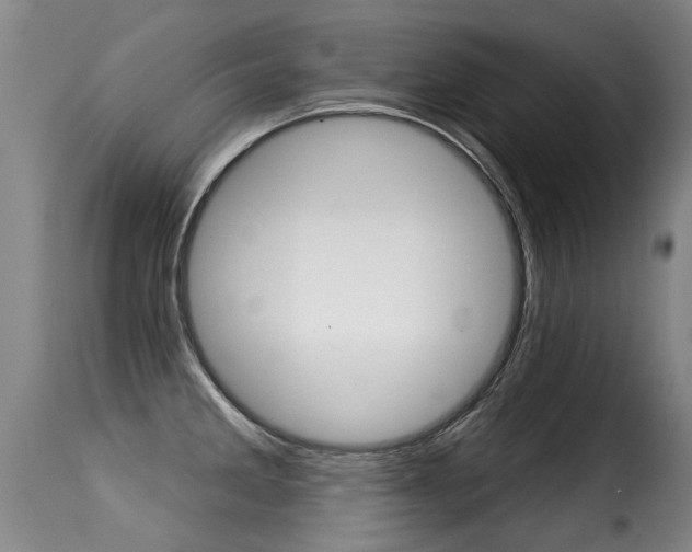 X0000116011285200911191229