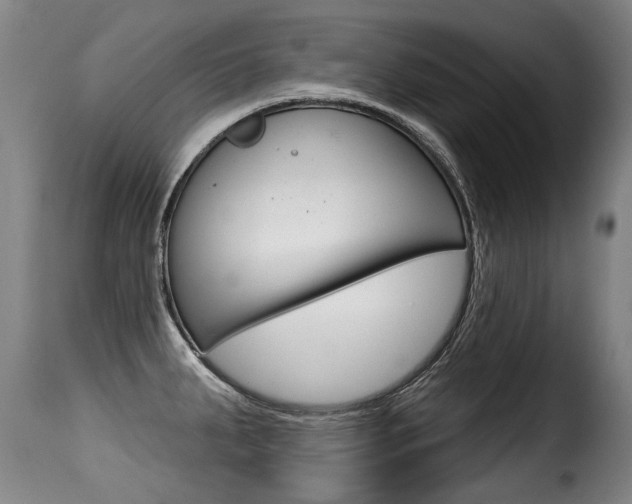 X0000116011287200911191229