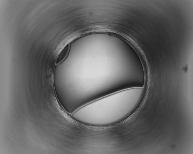 X0000116011289200911191229