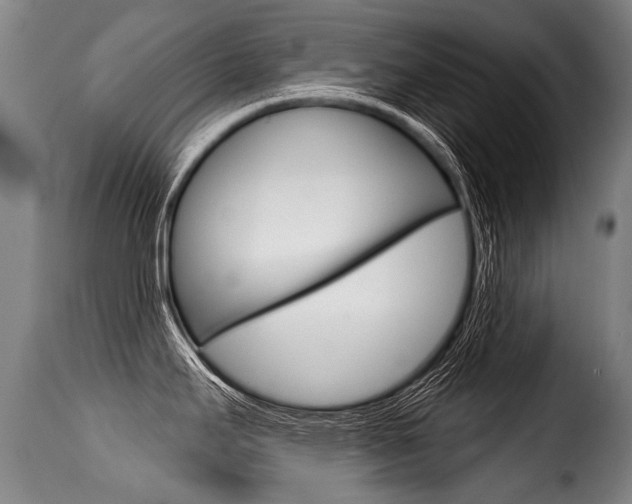 X0000116011295200911191229