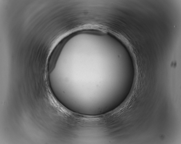 X0000116011296200911191229