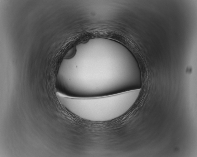 X0000116011297200911191228