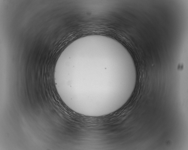X0000116011298200911191228